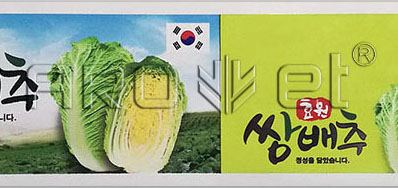 内容真切 上档次的彩色图案喷码机