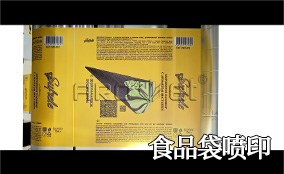 R3Z6尊龙凯时高精高快喷印可变数据喷印系统 Tehnical Parameters